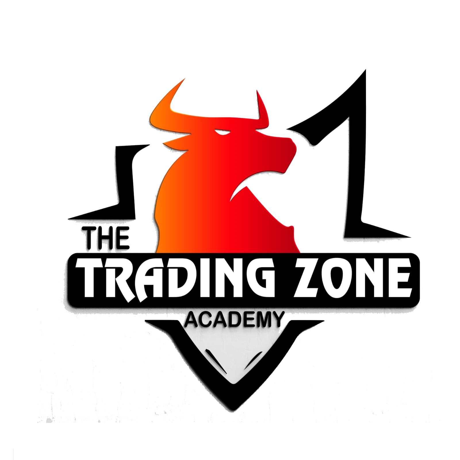 The Trading Zone Academy